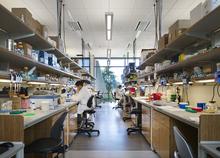 The laboratories feature reconfigurable furniture and infrastructure to support future flexibility. Chilled beams help condition the space. - Photo Credit: © Nick Merrick
