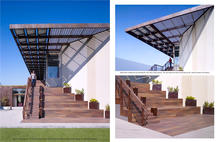 Amphitheatre steps leading up to green roofs and bedrooms - Photo Credit: John Linden